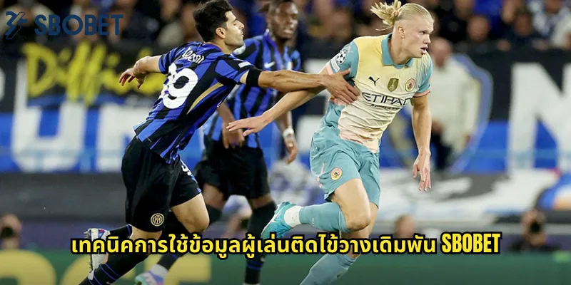 เทคนิคการใช้ข้อมูลผู้เล่นติดไข้วางเดิมพัน sbobet